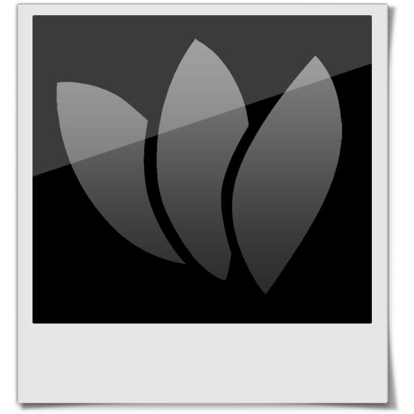 Schwarze Tapiokaperlen